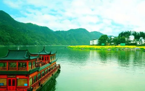 智能系统高端独特